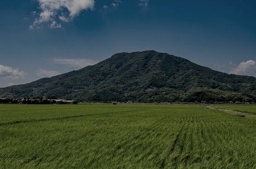 田んぼと山の風景